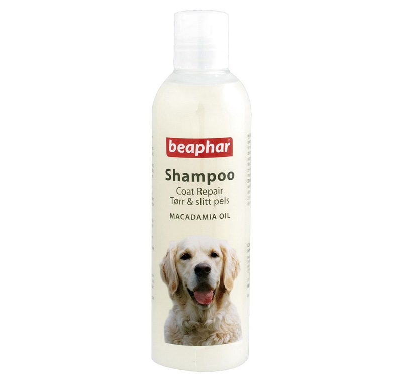 Beaphar Avustralya Fındığı Yağlı Kıtık Çözücü Tüy Parlatıcı Köpek Şampuanı 250 ML