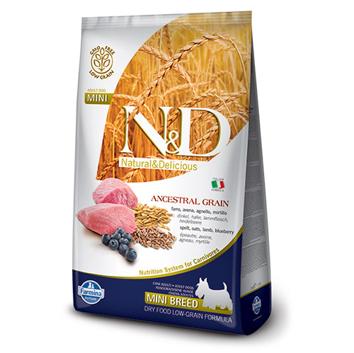 N&D Düşük Tahıllı Kuzu Yaban Mersini Küçük Irk Köpek Maması 2,5 Kg