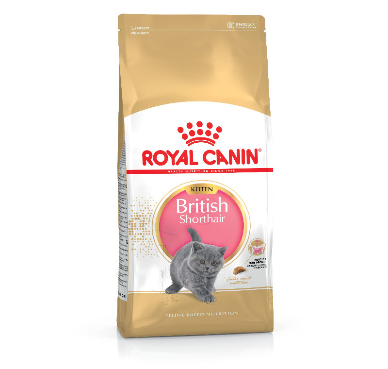 Royal Canin Kitten British Shorthair Yavru Irk Kedi Maması 2 Kg -